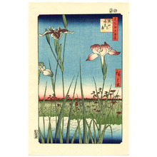 Utagawa Hiroshige: Iris Garden at Horikiri - Meisho Edo Hyakkei - Artelino