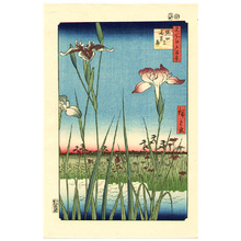 Ando Hiroshige, 歌川広重 (Ando Hiroshige)による浮世絵「Iris Garden at Horikiri - Meisho Edo Hyakkei」