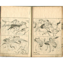 Kano Tanyu: Book of Drawings - Gako Senran - Artelino