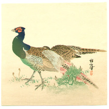 Hirafuku Suian: Pheasants - Artelino