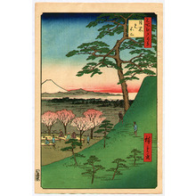 Utagawa Hiroshige: Meisho Edo Hyakkei - Meguro Moto-Fuji - Artelino