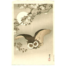 Ohara Koson: Flying Owl - Artelino