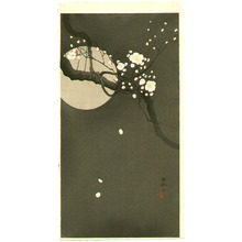 Ohara Koson: Plum Blossoms at Night - Artelino