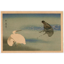 Kitagawa Utamaro: Egrets and Cormorant - Artelino