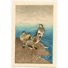 Unknown: Sandpipers - Artelino