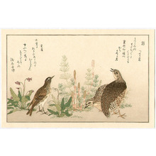 Kitagawa Utamaro: Quail and Lark - Artelino