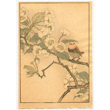 Imao Keinen: Bird and Cherry Blossoms - Keinen Gafu - Artelino