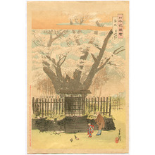 尾形月耕: Ancient Cherry Tree - Flowers of Japan - Artelino
