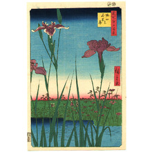 Utagawa Hiroshige: Iris Garden at Horikiri - One Hundred Famous Views of Edo - Artelino