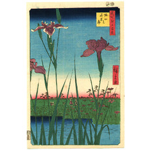 Ando Hiroshige, 歌川広重 (Ando Hiroshige)による浮世絵「Iris Garden at Horikiri - One Hundred Famous Views of Edo」