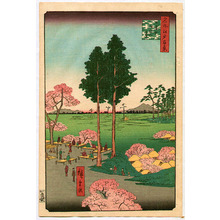 歌川広重: Meisho Edo Hyakkei - Higurashi no sato Suwanodai - Artelino