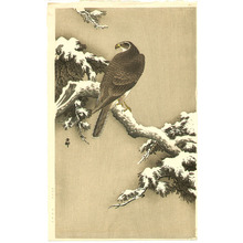 小原古邨: Goshawk on a Snow Covered Pine Branch - Artelino