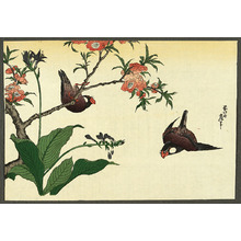 Katsushika Hokusai: Two Birds and Cherry Tree - Artelino
