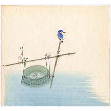 Matsubayashi Keigetsu: Kingfisher - Artelino