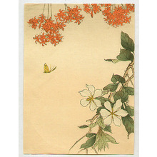 Unknown: Flowers and Butterfly - Artelino