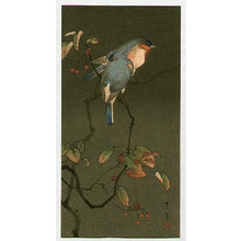 Watanabe Seitei: Blue Birds at Night - Artelino