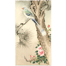 Unknown: Paradise Bird on Pine - Artelino