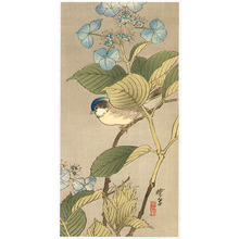Kawanabe Gyosui: Blue Bird on a Blossoming Branch - Artelino