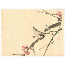 Unknown: Bush Warbler and Plum - Artelino