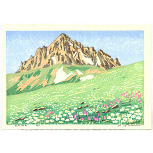 Unknown: Mt. Tsurugi and Flower Field - Artelino