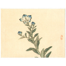 Kono Bairei: Blue Bell Flowers - Artelino