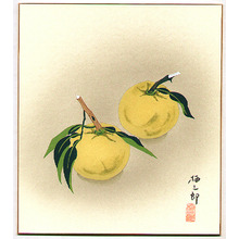 Unknown: Two Citrons - Artelino