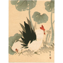 Watanabe Seitei: Rooster and Hen - Artelino
