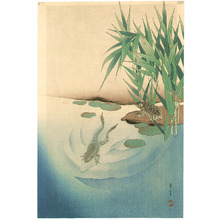Watanabe Seitei: Frogs in a Pond - Artelino