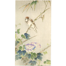 Unknown: Sparrow and Morning Glories - Artelino