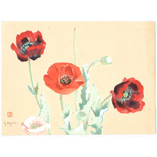 Oguri Yoji: Poppies - Artelino
