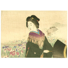 Suzuki Kason: Iris Garden - Artelino
