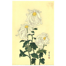 Watanabe Seitei: White Chrysanthemums - Artelino