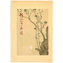 Ogata Korin: Plum Blossoms - Rimpa School Series - Artelino