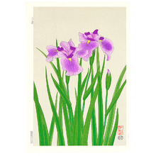 Ito Nisaburo: Iris - Artelino