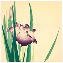 日本版画 "Irises" 由 Unknown, 無款 (null) 创作