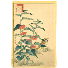Nakayama Sugakudo: Sparrow and Flowers - Artelino