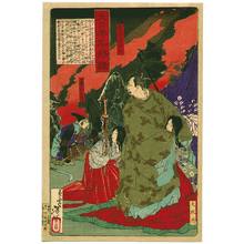 Tsukioka Yoshitoshi: Hideyoshi - Dai Nippon Meisho Kagami - Artelino