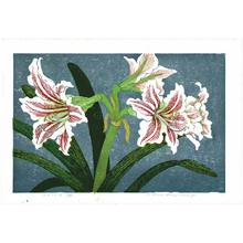 日本版画 "Amaryllis" 由 Unknown, 無款 (null) 创作