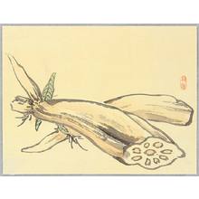 Kono Bairei: Lotus Roots - Artelino