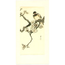 Yoshimoto Gesso: Bird and Plum - Artelino