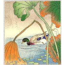 無款: Mallard and Lotus Leaves - Artelino