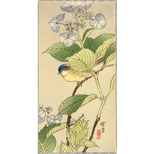 無款: Blue Bird on a Blossoming Branch - Artelino
