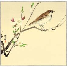 静湖: Bird and White Plum - Artelino