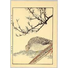 今尾景年: Chinese Pheasants - Keinen Gafu - Artelino