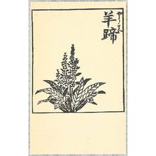 Hiratsuka Unichi: Flowering Plant - Artelino