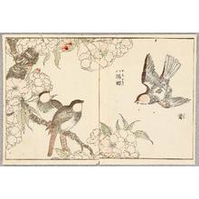 Kitao Shigemasa: Birds and Cherry - Artelino