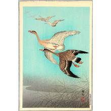 Ohara Koson: Flock of Geese - Artelino