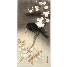 今尾景年: Crow and Cherry Blossoms - Artelino