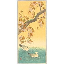Ito Sozan: Two Ducks and Cherry Tree - Artelino