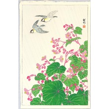 小原古邨: Two Birds and Begonia in Rain - Artelino